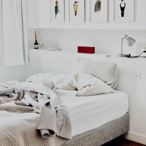 Luxury Egyptian Cotton Bedsheet Set - 4 Piece (King Size)